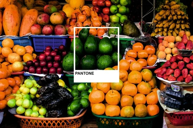 Fruits