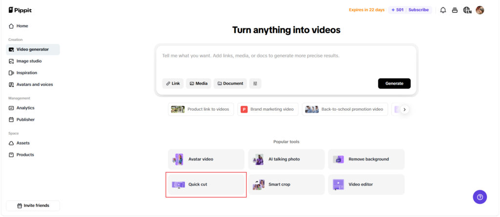 Pippit Subtitles vs Dubbing