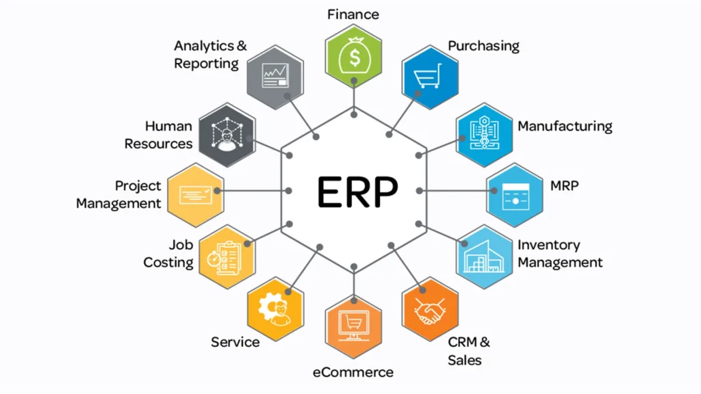 ERP Software Options